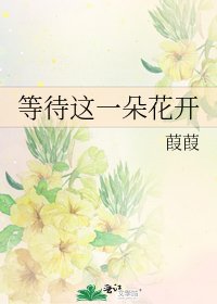 等待这一朵花开